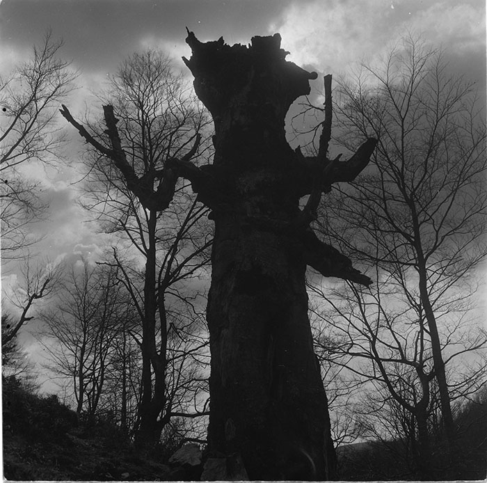 minerva_1967-1972_c3_c27_017