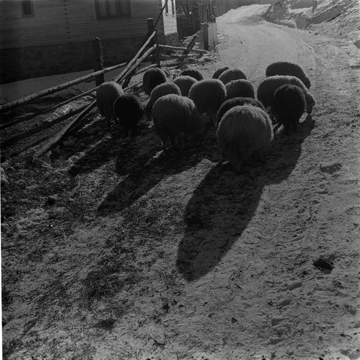 minerva_1967-1972_c3_c31_010