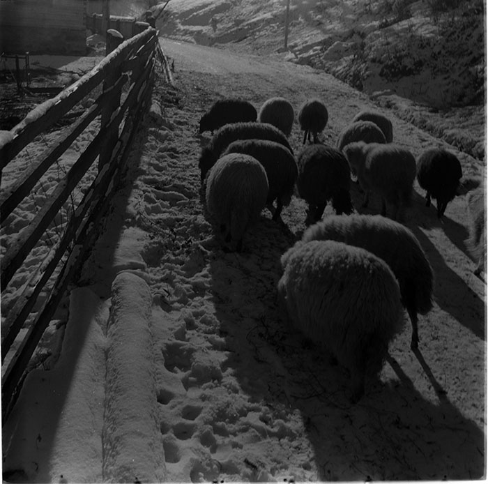 minerva_1967-1972_c3_c31_012