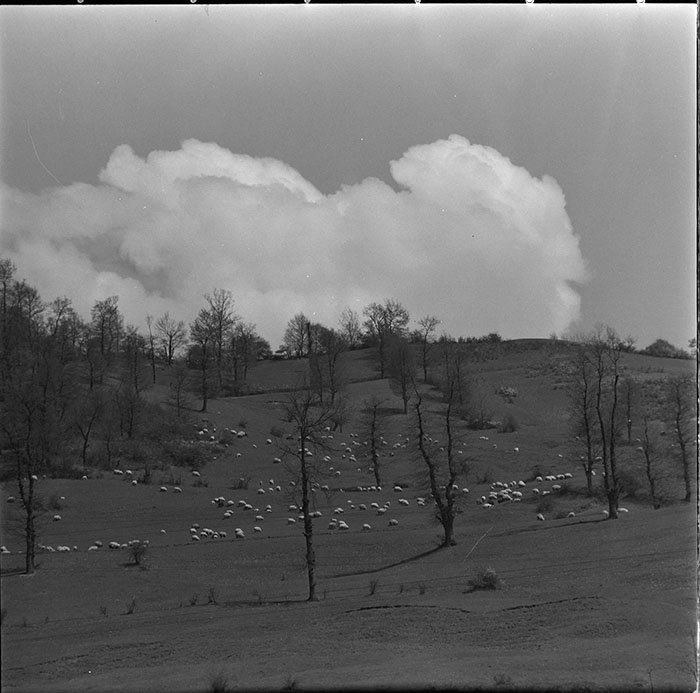 minerva_1967-1972_c3_c32_003