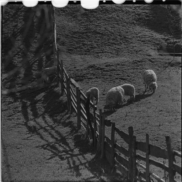 minerva_1967-1972_c3_c32_004