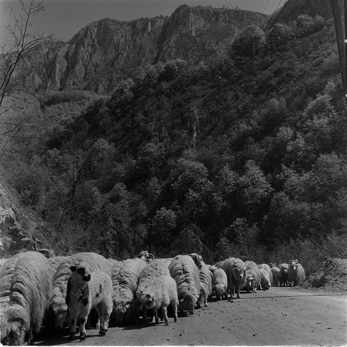 minerva_1967-1972_c3_c32_008