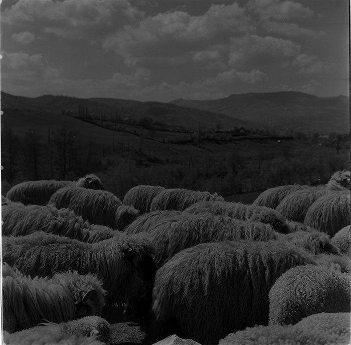 minerva_1967-1972_c3_c32_009