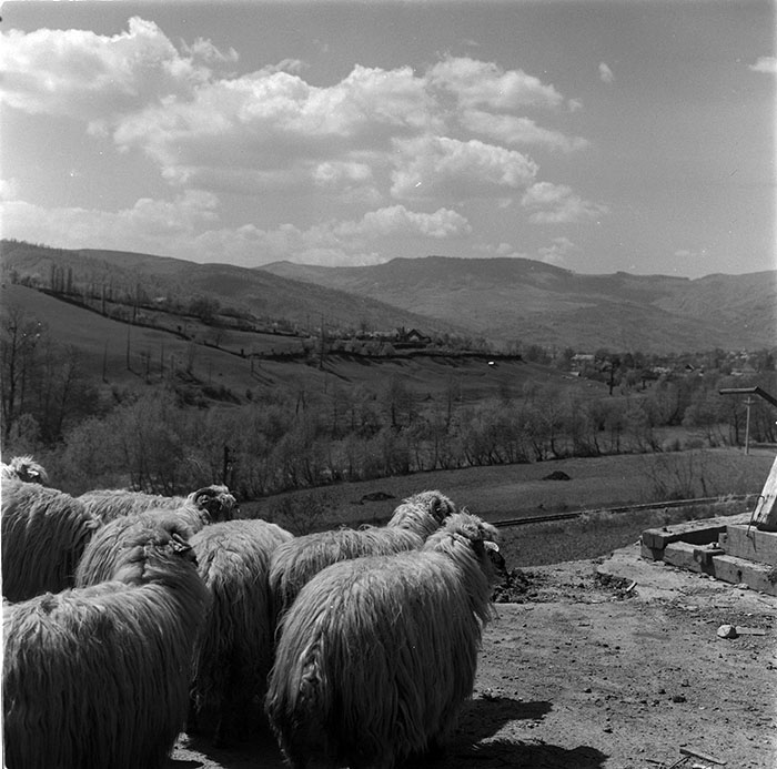 minerva_1967-1972_c3_c32_010