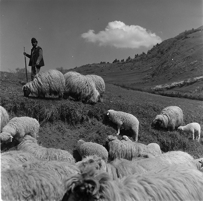 minerva_1967-1972_c3_c32_011