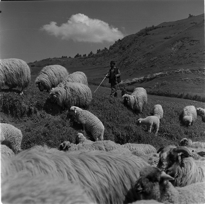 minerva_1967-1972_c3_c32_012