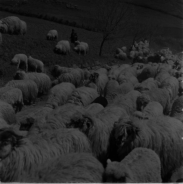 minerva_1967-1972_c3_c32_016