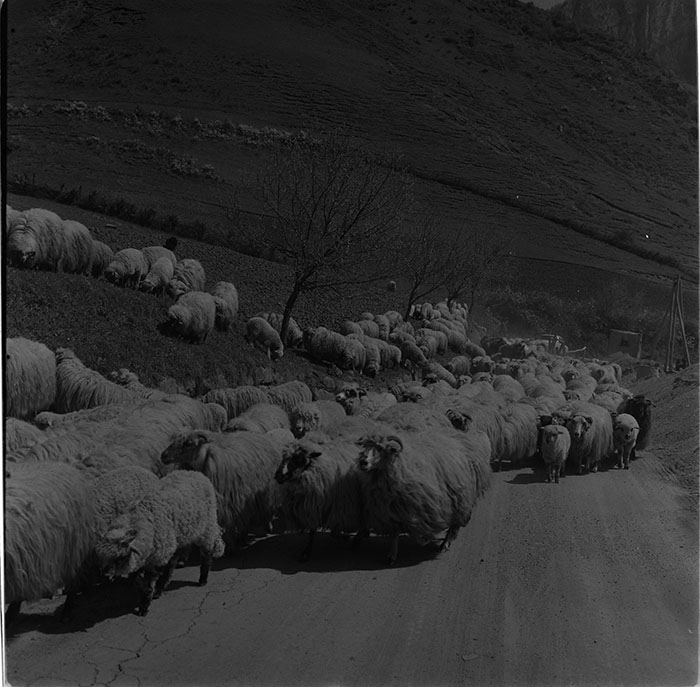 minerva_1967-1972_c3_c32_017