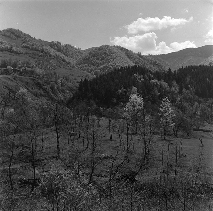 minerva_1967-1972_c3_c32_018