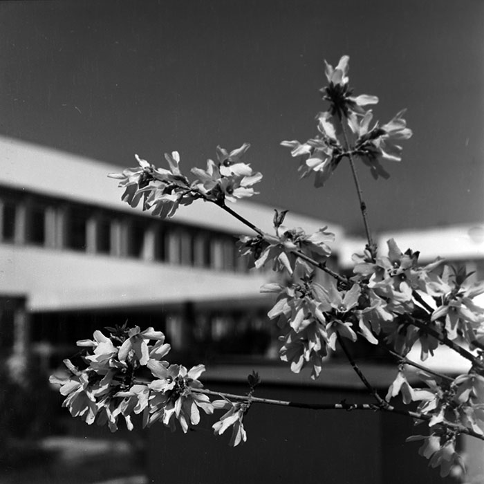 minerva_1967-1973_c1_c1r3_001