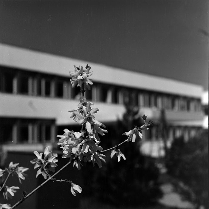 minerva_1967-1973_c1_c1r3_002