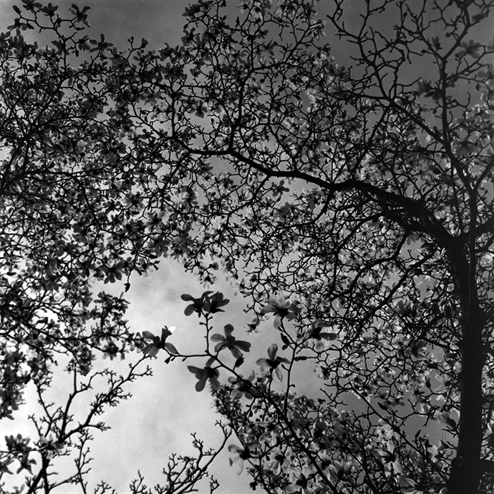 minerva_1967-1973_c1_c1r3_004