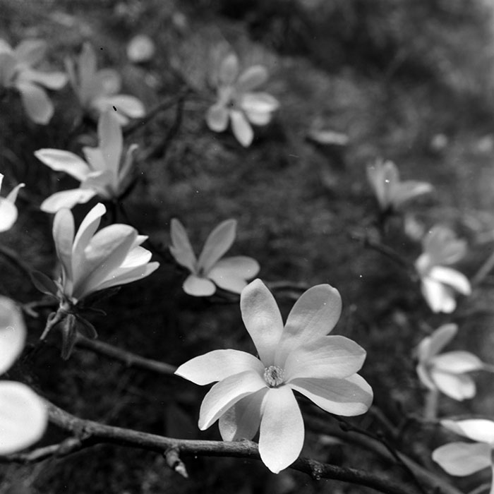 minerva_1967-1973_c1_c1r3_005