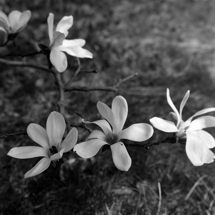 minerva_1967-1973_c1_c1r3_006