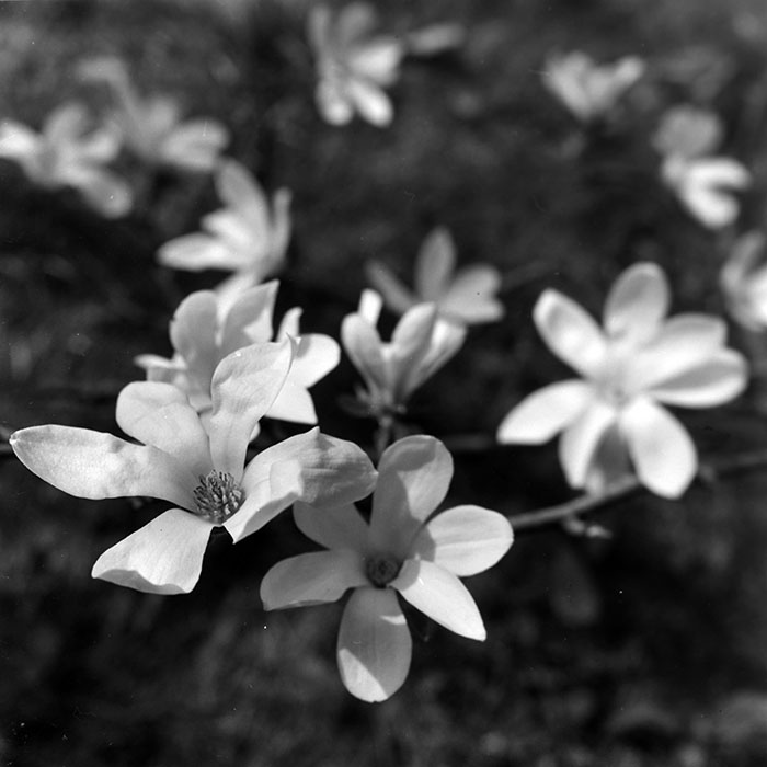 minerva_1967-1973_c1_c1r3_007