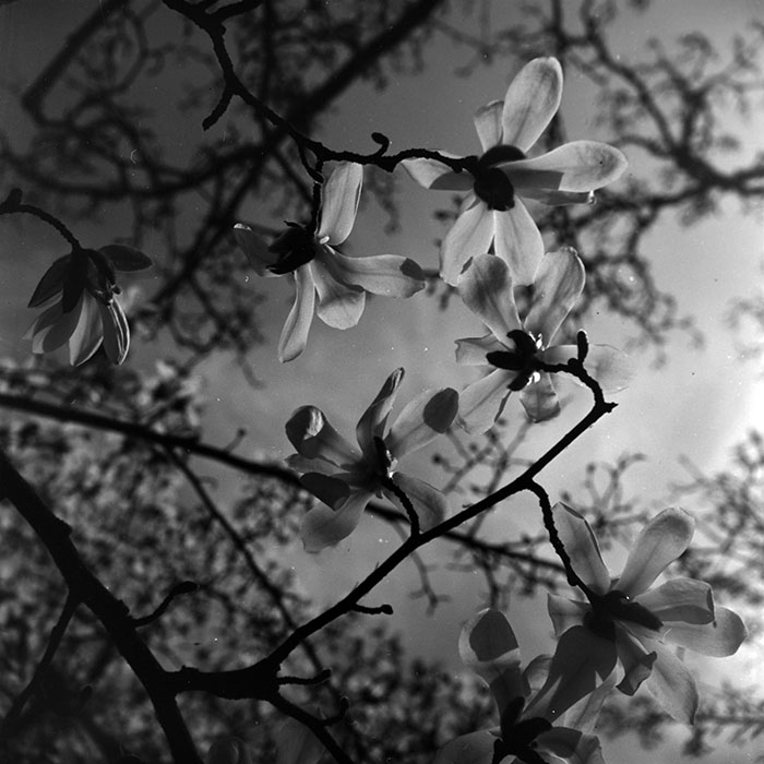 minerva_1967-1973_c1_c1r3_008