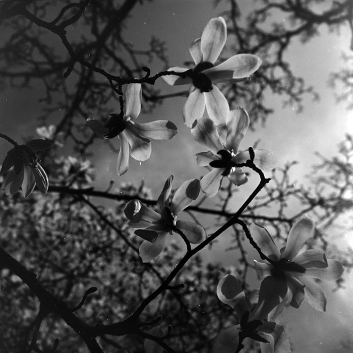 minerva_1967-1973_c1_c1r3_009