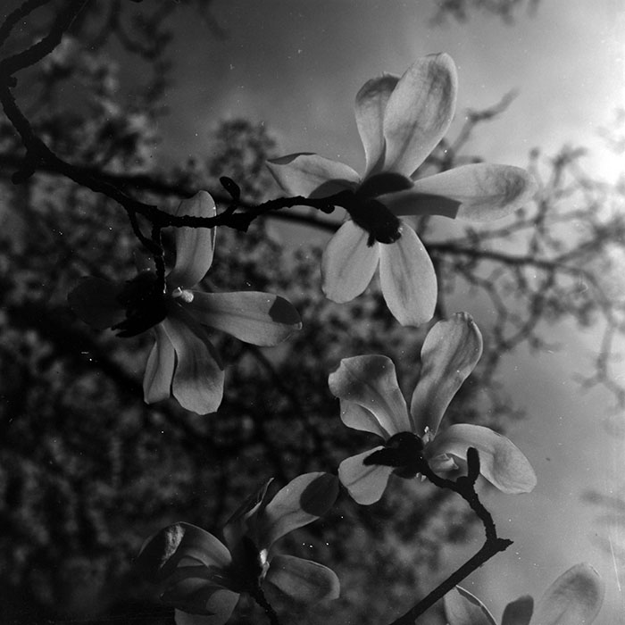 minerva_1967-1973_c1_c1r3_010