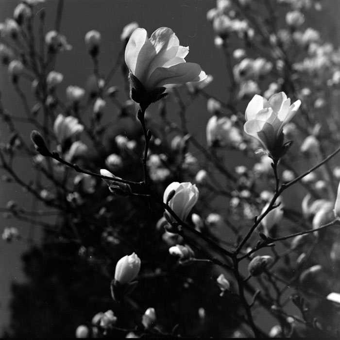 minerva_1967-1973_c1_c1r3_012