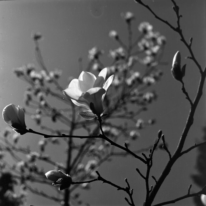 minerva_1967-1973_c1_c1r3_013