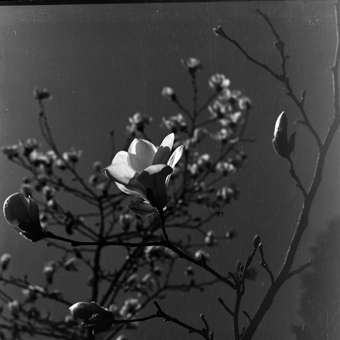 minerva_1967-1973_c1_c1r3_014