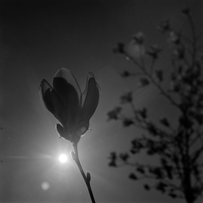 minerva_1967-1973_c1_c1r3_015