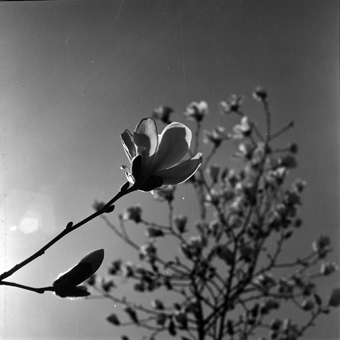 minerva_1967-1973_c1_c1r3_016