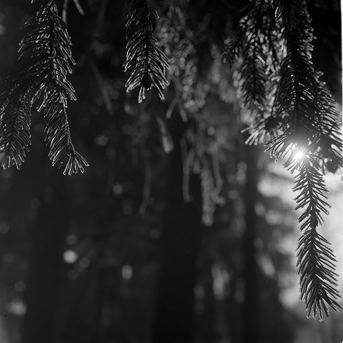 minerva_1967-1973_c1_c1r5_002