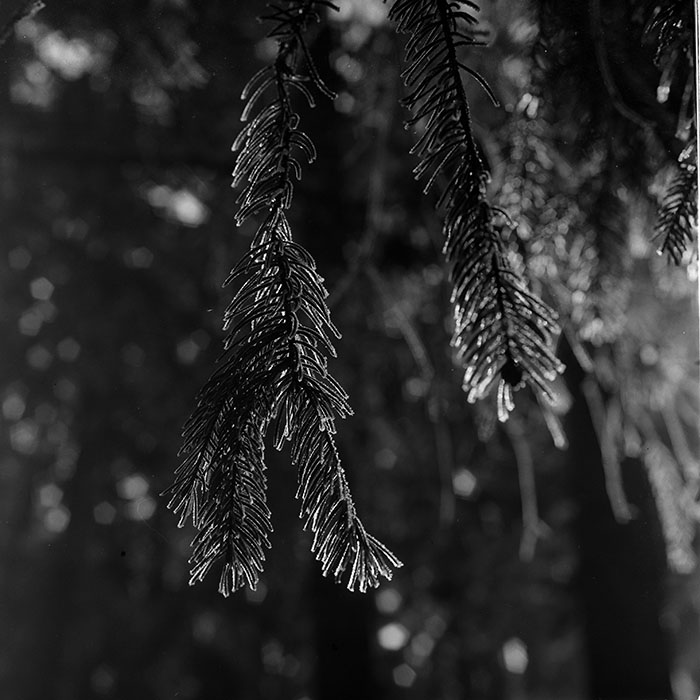 minerva_1967-1973_c1_c1r5_003