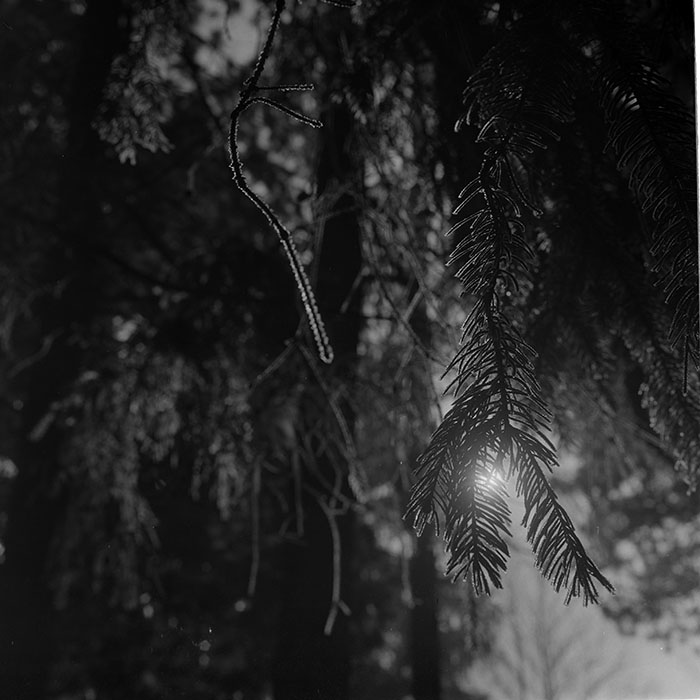 minerva_1967-1973_c1_c1r5_004