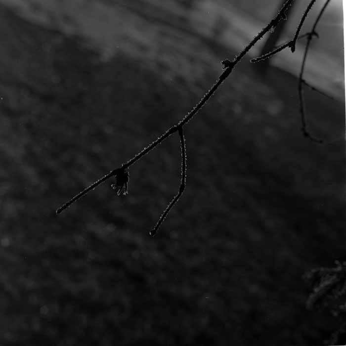 minerva_1967-1973_c1_c1r5_005