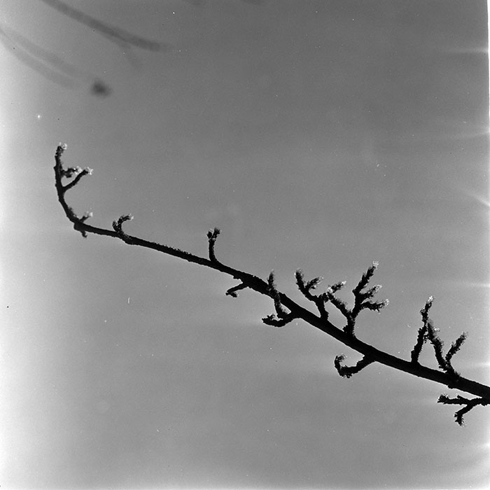 minerva_1967-1973_c1_c1r5_006