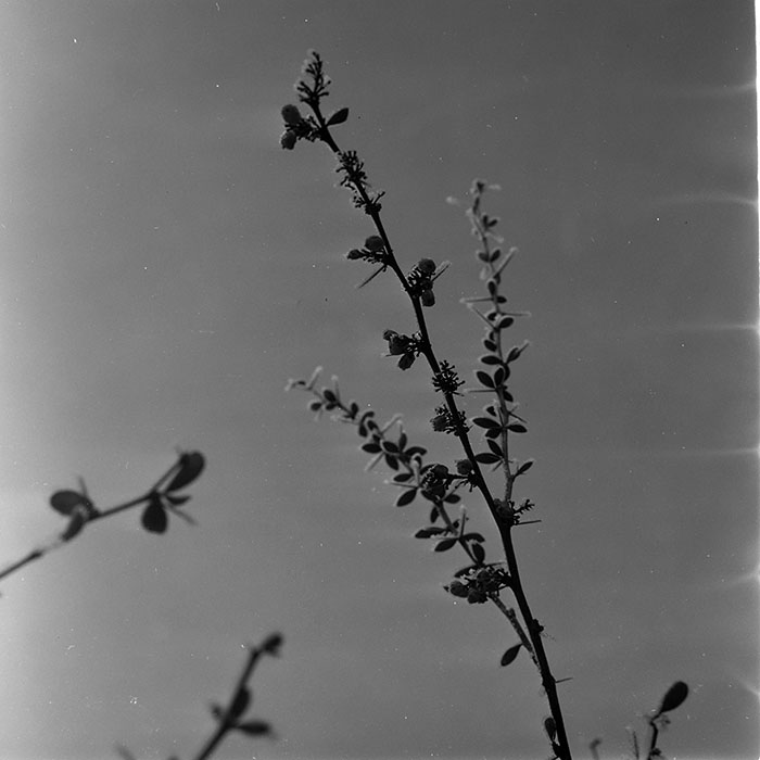 minerva_1967-1973_c1_c1r5_007