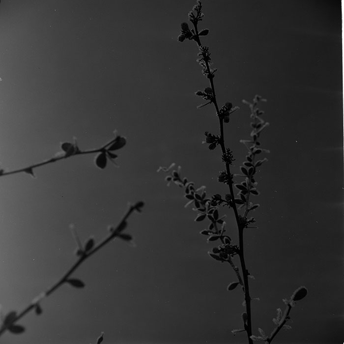 minerva_1967-1973_c1_c1r5_008