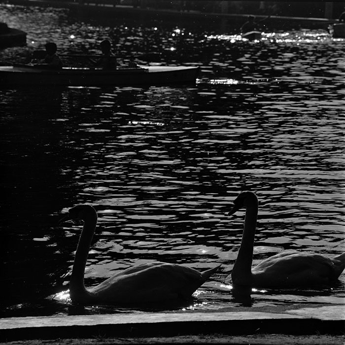 minerva_1967-1973_c1_c1r6_011