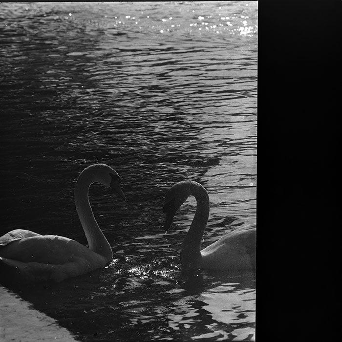 minerva_1967-1973_c1_c1r6_013