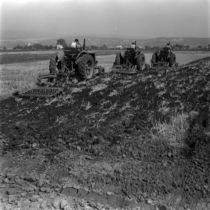 minerva_1967-1973_c1_c1r8_009