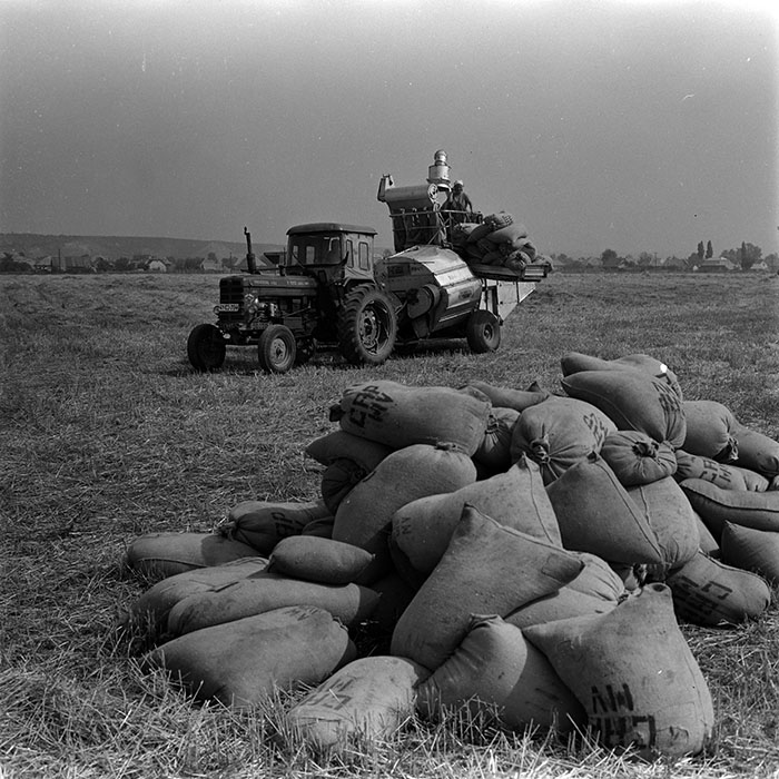 minerva_1967-1973_c1_c1r8_012