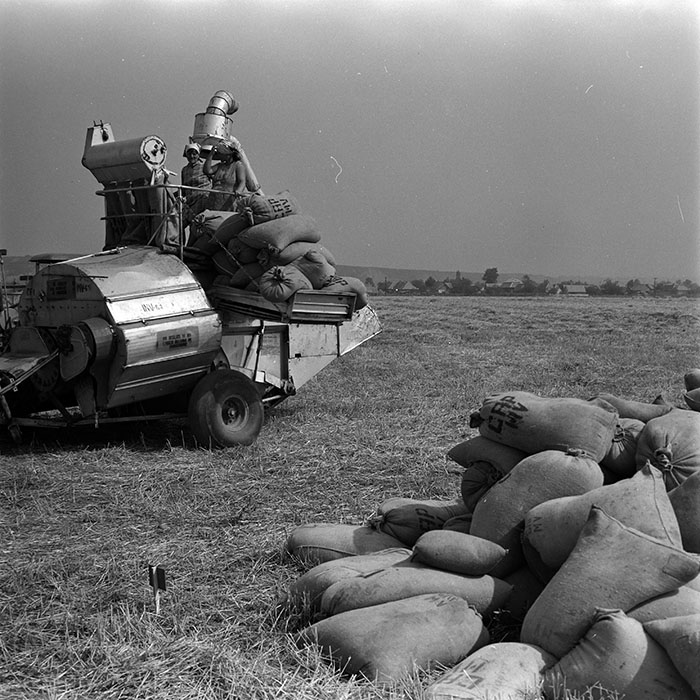 minerva_1967-1973_c1_c1r8_013