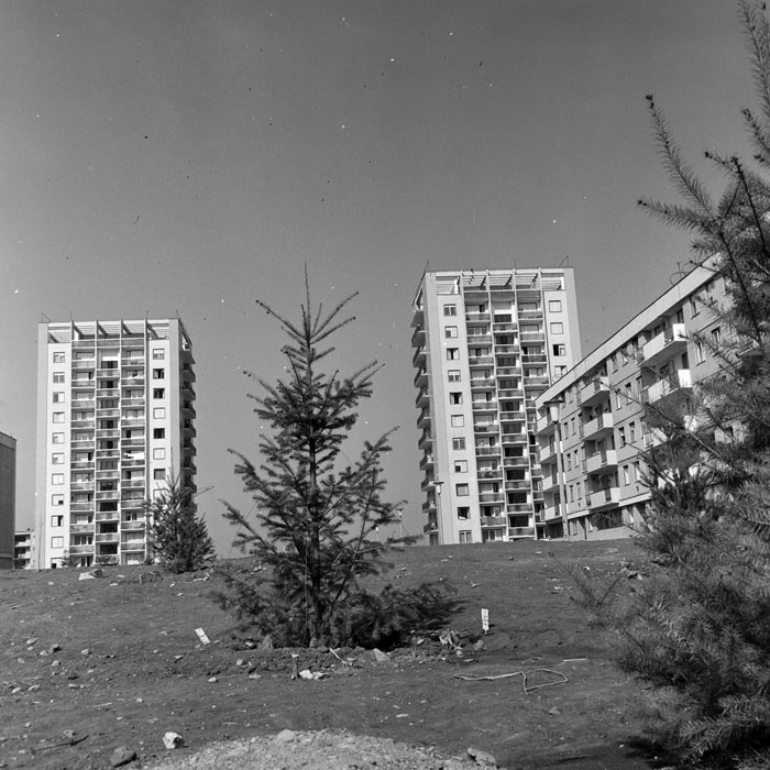 minerva_1967-1973_c1_c2r12_004