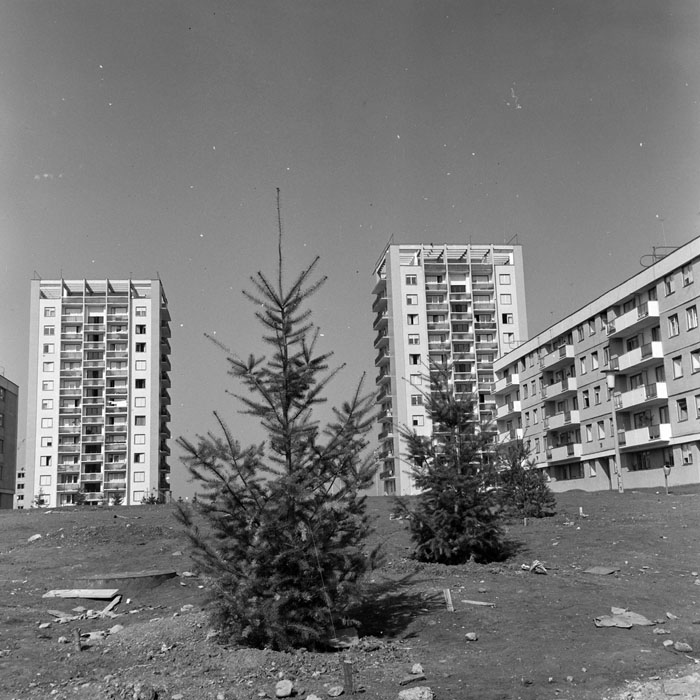 minerva_1967-1973_c1_c2r12_005