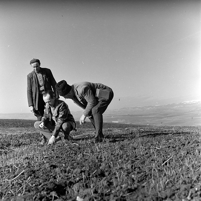 minerva_1967-1973_c1_c2r16_002