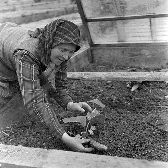 minerva_1967-1973_c1_c2r16_019