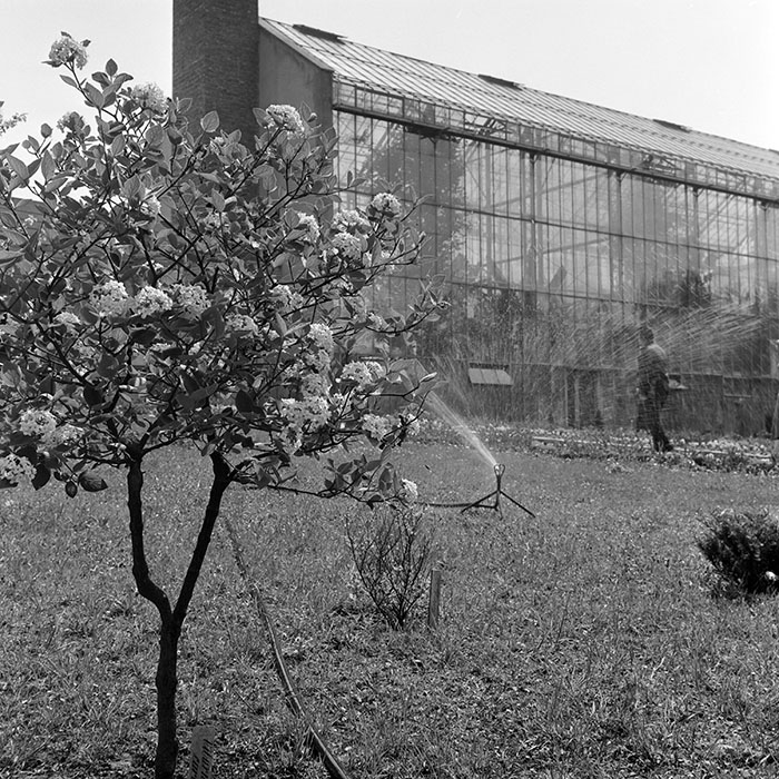 minerva_1967-1973_c1_c2r19_002