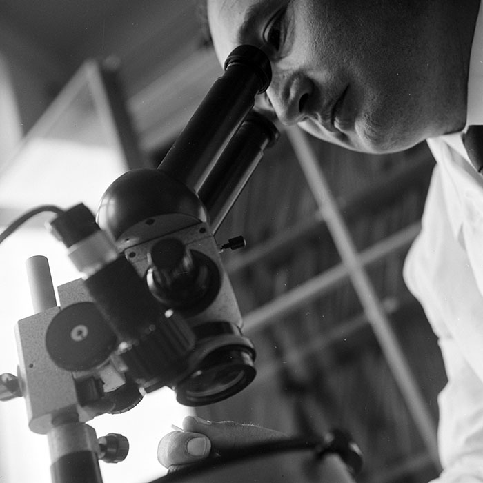 minerva_1967-1973_c1_c2r19_006