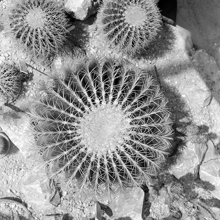 minerva_1967-1973_c1_c2r19_007