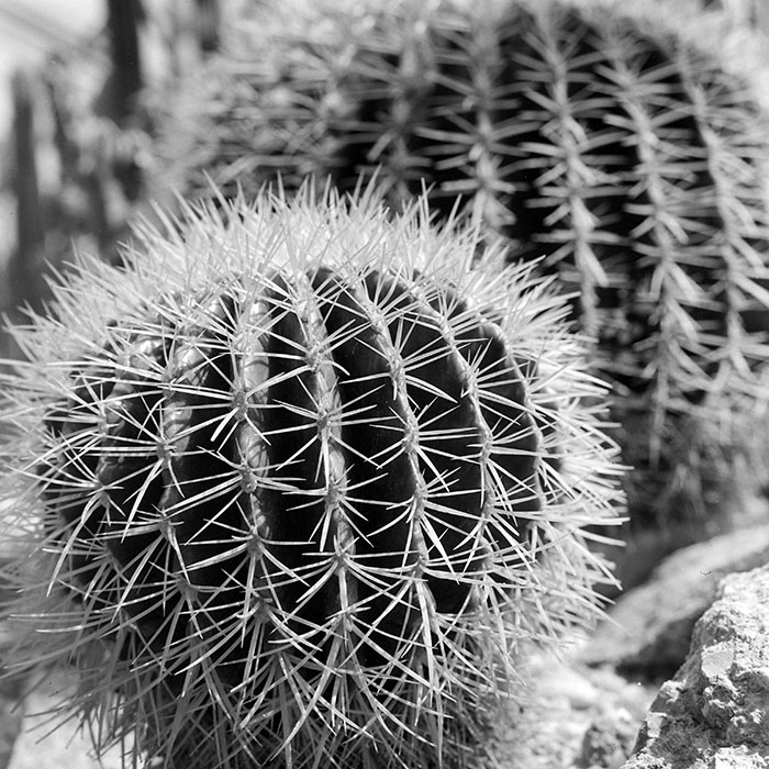 minerva_1967-1973_c1_c2r19_008