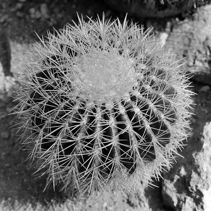 minerva_1967-1973_c1_c2r19_009