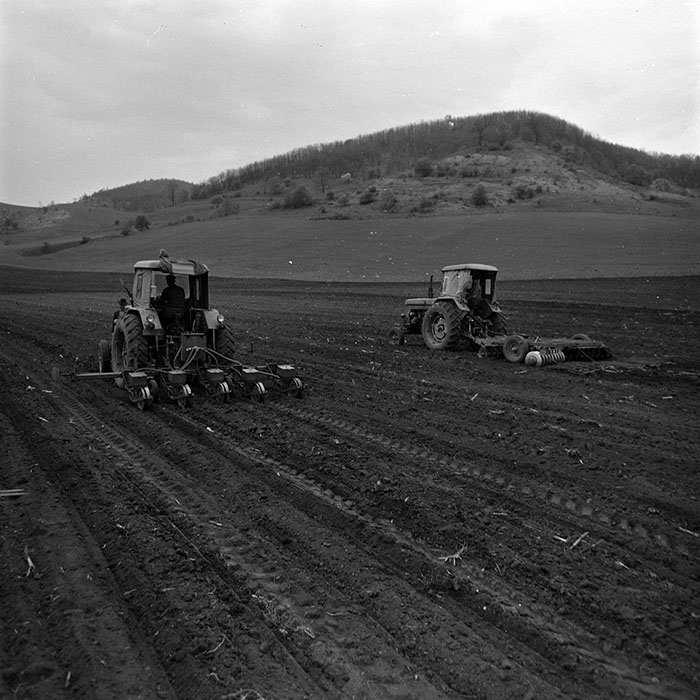 minerva_1967-1973_c1_c2r2_007