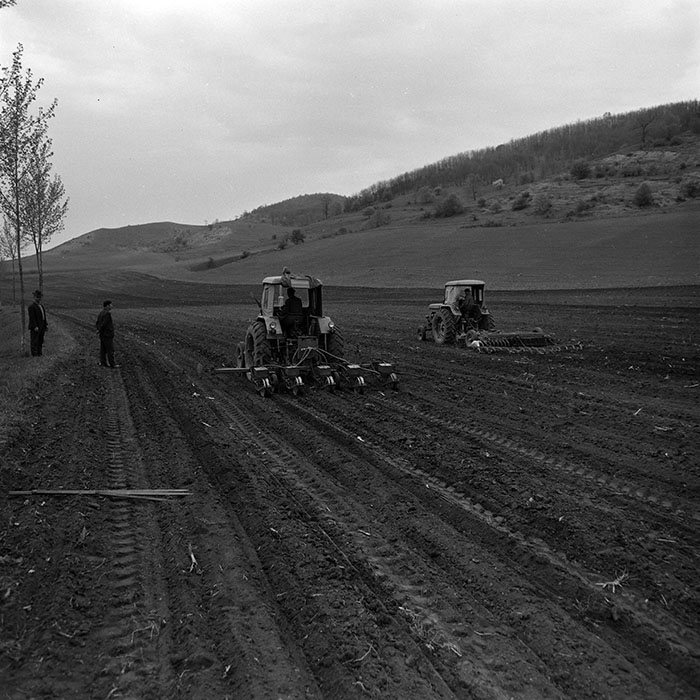 minerva_1967-1973_c1_c2r2_008